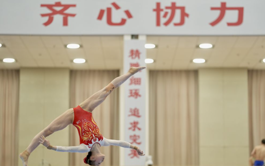 杏彩体育助力年轻人的成长之路
